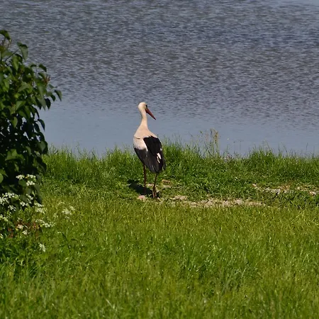 Panorama Appartement *